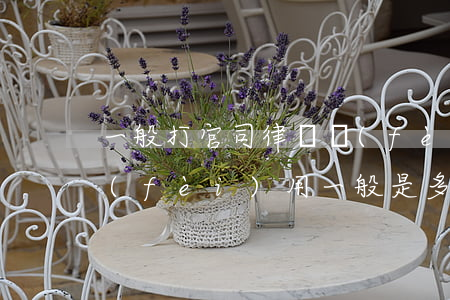一般打官司律師費(fèi)(律師起訴的費(fèi)用一般是多少錢?)
