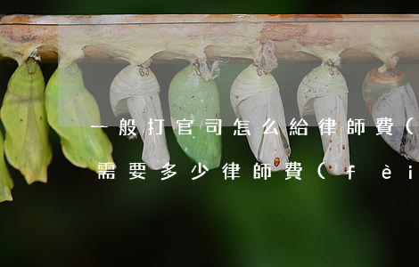 一般打官司怎么給律師費(fèi)(打官司需要多少律師費(fèi))