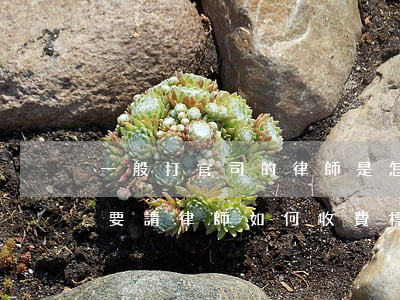 一般打官司的律師是怎樣收費的(打官司一定要請律師如何收費標準)