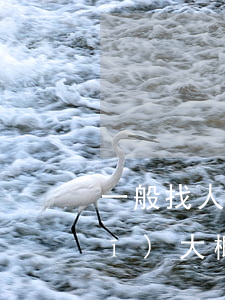 一般找人裝機(jī)多少錢(叫人裝機(jī)大概多少錢)