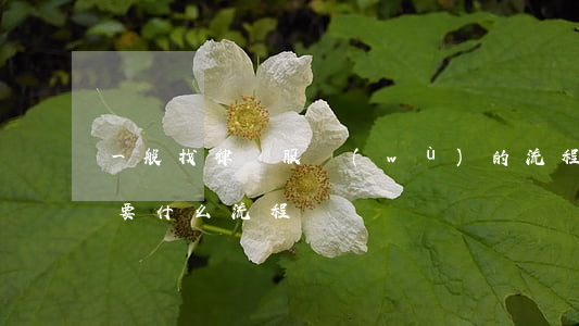 一般找律師服務(wù)的流程是(請律師需要什么流程)