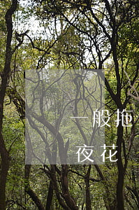 一般拖車多少錢(一般拖車多少錢,書旗小說今夜花開)