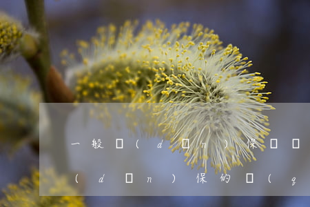 一般擔(dān)保與連帶責(zé)任擔(dān)保的區(qū)別是什么