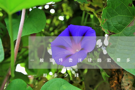 一般案件委托律師需要多少錢(如果委托律師一般多少錢)