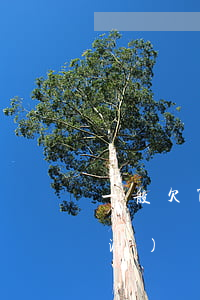 一般欠7天網(wǎng)貸多少數(shù)額會(huì)上門-一般欠7天網(wǎng)貸多少數(shù)額會(huì)上門催收