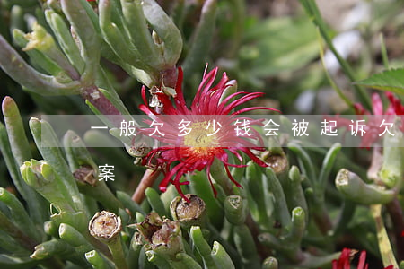 一般欠多少钱会被起诉(欠多少钱会被起诉立案)