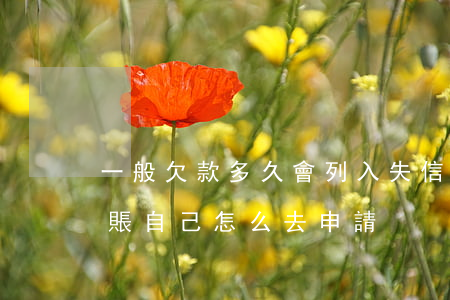 一般欠款多久會列入失信人員名單-停息掛賬自己怎么去申請