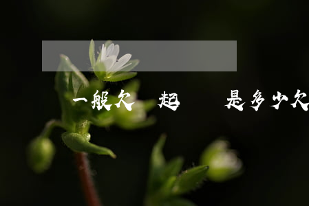 一般欠錢起訴費是多少（欠錢起訴費要多少錢）