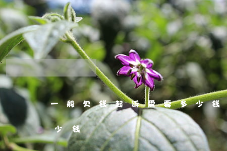 一般欠钱起诉需要多少钱（起诉欠钱的需要多少钱）