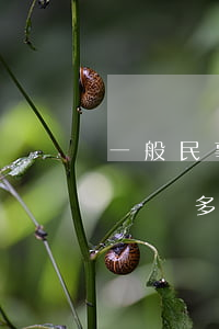 一般民事糾紛律師費一般是多少(民事訴訟律師費多少錢?)