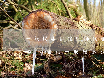 一般民事訴訟律師代理費是多少(民事糾紛律師代理費一般是多少)