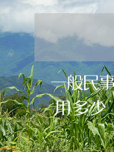 一般民事訴訟法院起訴費多少錢(法院起訴費用多少)