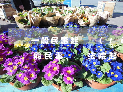 一般民事起訴費(fèi)用大概是多少(一般民事訴訟法院起訴費(fèi)多少錢)