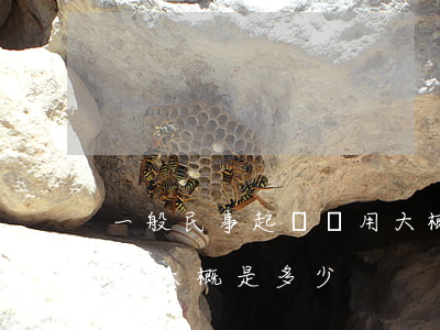一般民事起訴費用大概是多少(民事訴訟起訴費大概是多少)