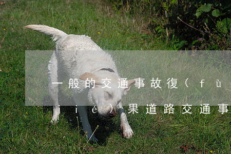 一般的交通事故復(fù)核要多久出結(jié)果(道路交通事故認(rèn)定書復(fù)核申請多久出結(jié)果)