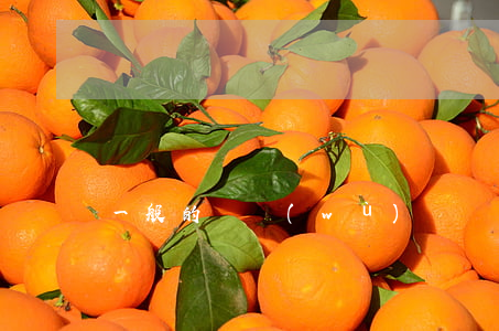 一般的債務(wù)糾紛要不要請律師違約