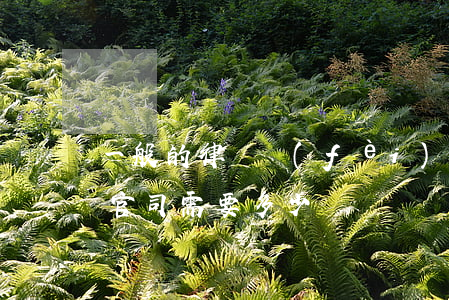 一般的律師費(fèi)多少錢(找個律師打官司需要多少錢)