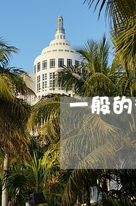 一般的律師費用怎么算(律師費算什么費用)