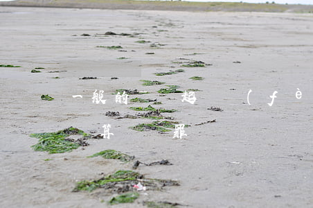 一般的盜竊起訴費(fèi)是多少錢(多少錢算盜竊罪)