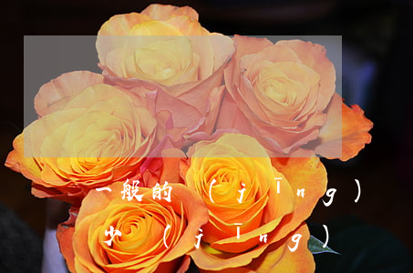一般的經(jīng)濟糾紛案律師費是多少(經(jīng)濟糾紛案件律師費收取標(biāo)準(zhǔn))