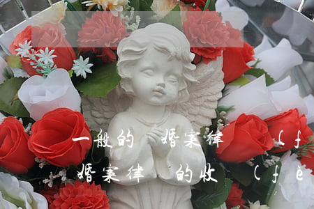 一般的離婚案律師費(fèi)大概多少(離婚案律師的收費(fèi)標(biāo)準(zhǔn))