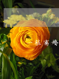 一般离婚官司要多久(离婚官司最快多久)