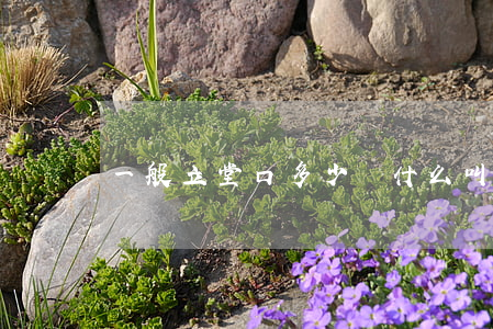 一般立堂口多少錢(什么叫立堂口)