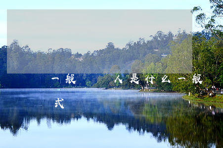 一般納稅人是什么(一般納稅人是什么征收方式)