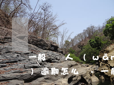一般納稅人網(wǎng)上申報(bào)逾期怎么辦-一般納稅人網(wǎng)上申報(bào)逾期怎么辦呢