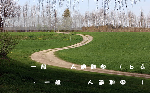 一般納稅人逾期申報(bào)有什么后果-一般納稅人逾期申報(bào)有什么后果嗎