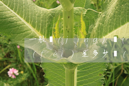 一般經(jīng)濟(jì)糾紛律師費(fèi)是多少(經(jīng)濟(jì)糾紛案件律師一般是怎么收費(fèi)的)