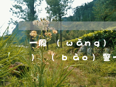 一般網(wǎng)貸多久不還會(huì)報(bào)警(一般網(wǎng)貸多久不還會(huì)報(bào)警)