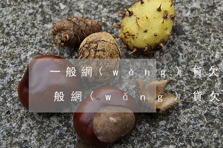 一般網(wǎng)貸欠多少錢會被上門(一般網(wǎng)貸欠多少錢會被上門)