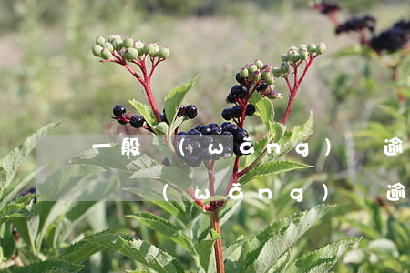 一般網(wǎng)貸逾期多久會被起訴（手機網(wǎng)貸逾期多久會起訴）