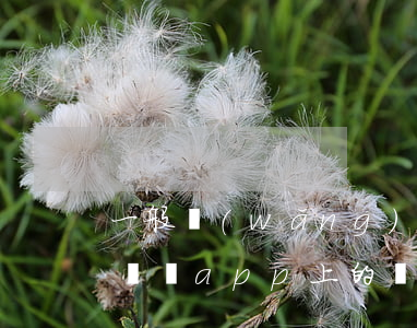 一般網(wǎng)貸逾期會(huì)上門嗎(app上的網(wǎng)貸逾期了會(huì)上門要嗎)