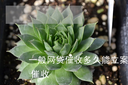 一般网贷催收多久能立案(欠网贷多久会上门催收)