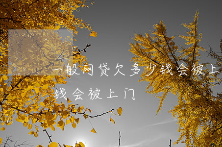 一般网贷欠多少钱会被上门(一般网贷欠多少钱会被上门)