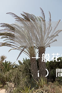 一般花唄逾期多長(zhǎng)時(shí)間會(huì)上征信-花唄逾期多久上征信?花唄逾期會(huì)上征信