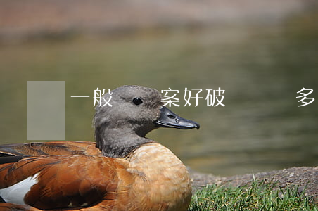 一般詐騙案好破嗎(詐騙多久可以破案)
