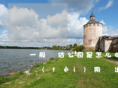 一般評估公司是怎么收費(fèi)的(評估費(fèi)用誰出)
