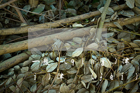 一般請(qǐng)律師是怎么收費(fèi)(律師費(fèi)是怎么收取的)