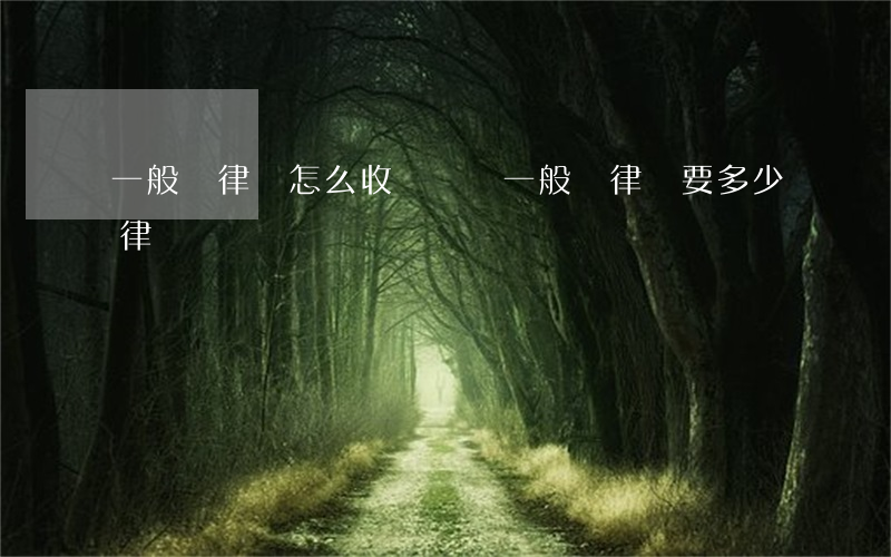 一般請律師怎么收費標準(一般請律師要多少律師費)
