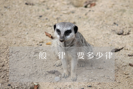 一般請律師要多少律師費(律師收費)