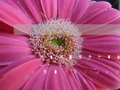 一般請律師要多少錢(委托律師的費(fèi)用標(biāo)準(zhǔn))