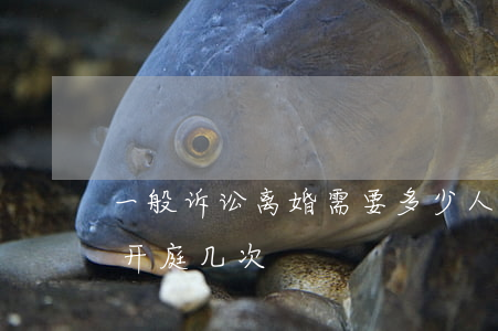 一般诉讼离婚需要多少人出庭(离婚官司一般开庭几次)