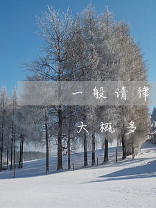 一般请律师大概多少钱离婚纠纷(一般请律师大概多少钱离婚纠纷)