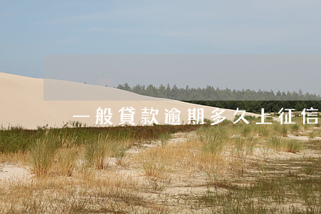 一般貸款逾期多久上征信(逾期多久上征信)