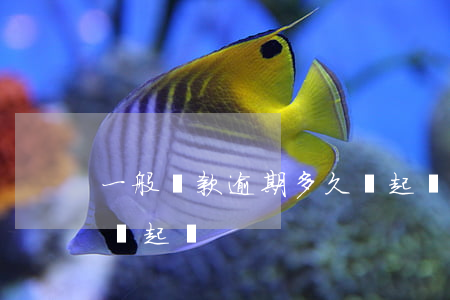 一般貸款逾期多久會起訴(一般貸款逾期多久會起訴)