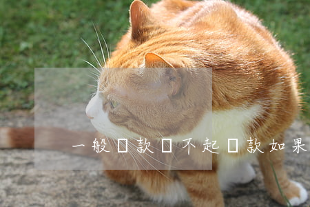 一般貸款還不起(貸款如果還不起會怎樣)