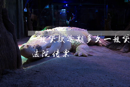 一般贷款逾期多久(一般贷款逾期多久会收到法院传票)
